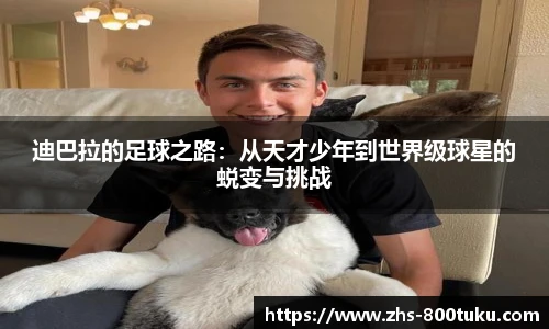 800图库官网